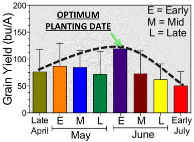 Sorghum Optimum Planting Date