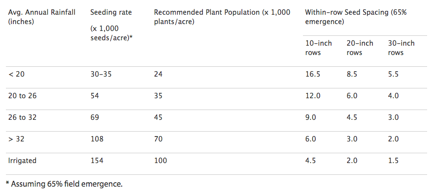 Sorghum Seeding Rates