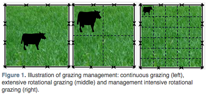 Grazing systems
