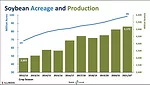 Brazil Soybean Production Graph