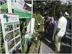 visitors-at-the-act-conservation-agriculture.jpeg