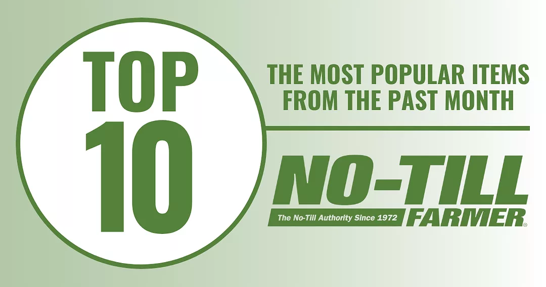 ntf-top-10.png