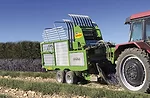 Bonino s.a.s. Lavender Harvester_1118 copy