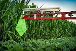 Hagberg Ag LLC Green Shield Pesticide Overspray Barrier_1119 copy