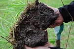 healthy soil Rick Clark farm