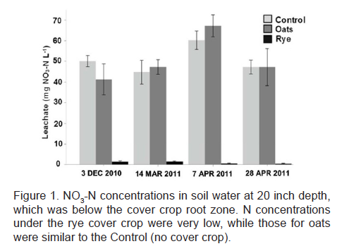 NO3-N concentrations in soil water at 20 inch depth, which was below the cover crop root zone.