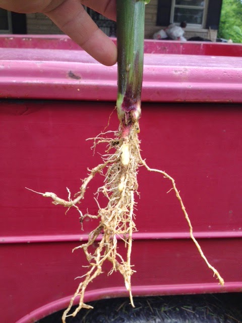 Field 2. Sidewall compaction is evident. 
