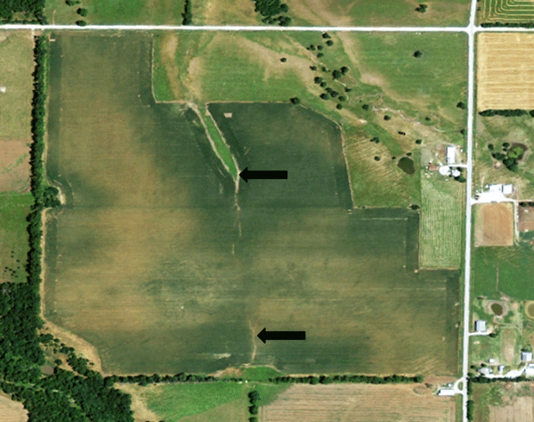 USDA National Agricultural Imagery Program remote image from early summer 2012 of a crop production field in southeast Kansas. Arrows indicate waterways draining the field.