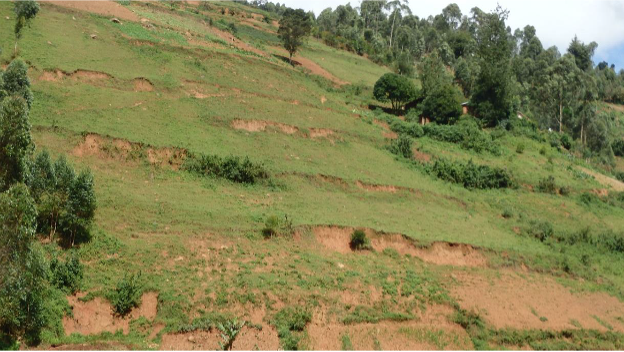 Uganda degraded fields