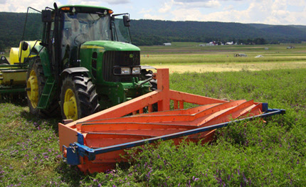 Cover Crop Prevents Weeds