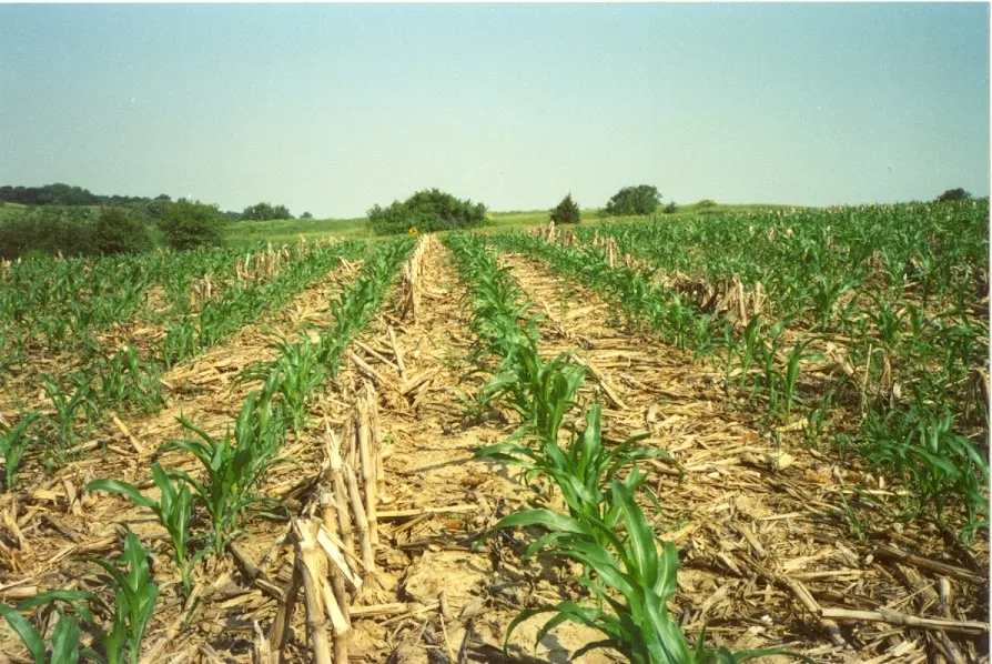 Soil Biology