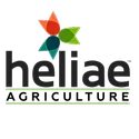 Heliae