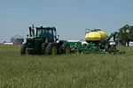 prevent plant cover crops 3